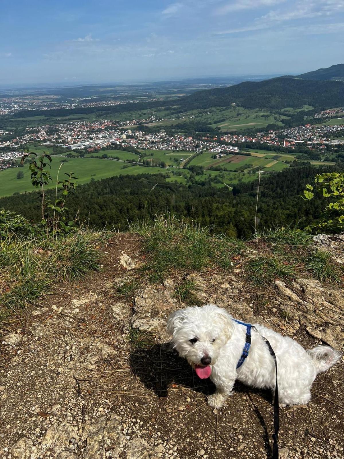 Luxliv Apartements Balingen Kültér fotó