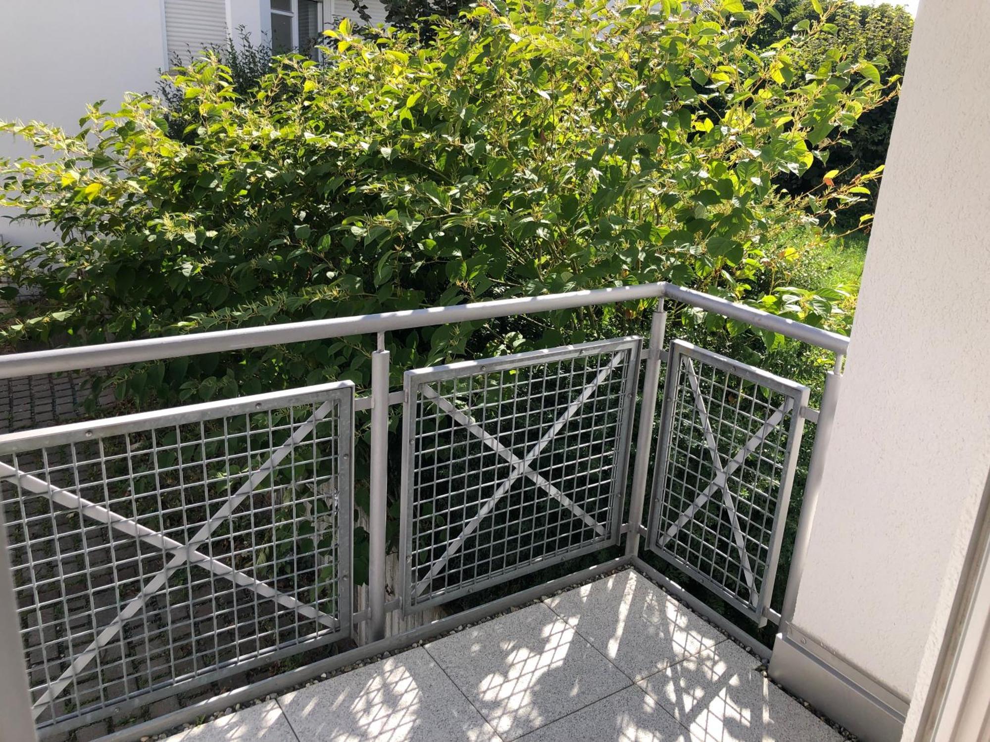 Luxliv Apartements Balingen Kültér fotó